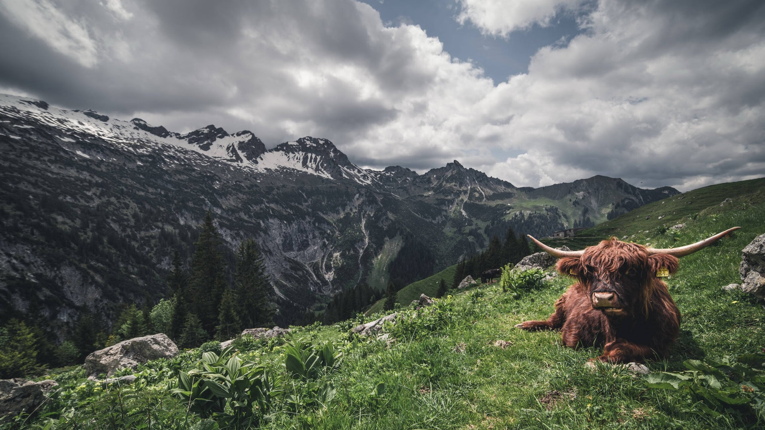 _体育+公益：运动传递爱心与希望_，关于运动的公益广告语