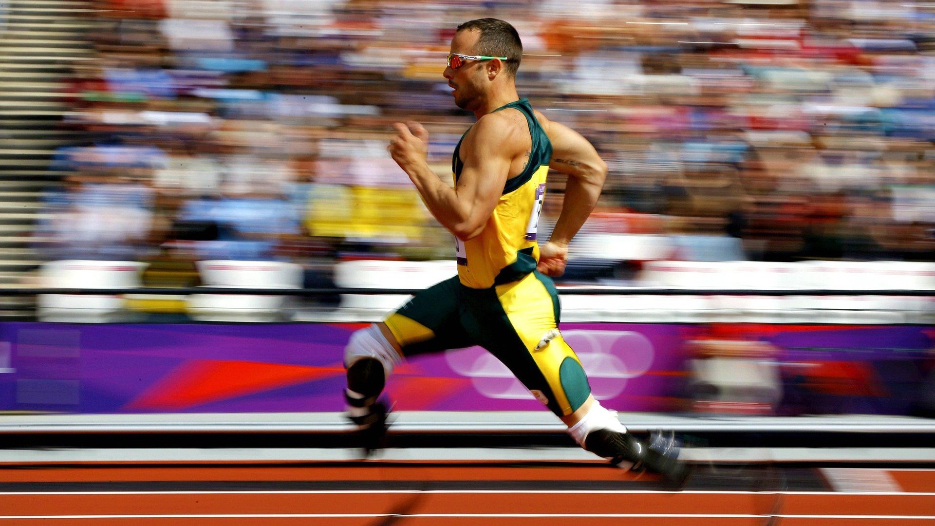 谢佩玲完美入水赢得现场喝彩，谢佩新简历